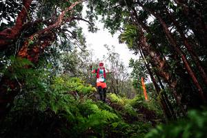 BIB: 
                            <button type="button" onclick="openModal(26203198)" class="btn btn-primary btn-sm float-right btn-popup" data-toggle="modal" data-target=".modal-high-quality">
                        <i class="fas fa-shopping-cart"></i> Add to Cart
                    </button>
                                            <button type="button" onclick="isThisMe(26203198, true)" class="btn btn-success btn-sm float-right btn-popup btn-isme hidden" data-toggle="tooltip" data-placement="bottom" title="นี่คือรูปของคุณใช่ไหม คลิกที่นี่เพื่อเอาเข้าอัลบั้ม">
                        <i class="fas fa-plus"></i> Add to album
                    </button>
                    <button type="button" onclick="isThisMe(26203198, false)" class="btn btn-warning btn-sm float-right btn-popup btn-isnotme hidden">
                        <i class="fas fa-ban"></i> Remove from album
                    </button>